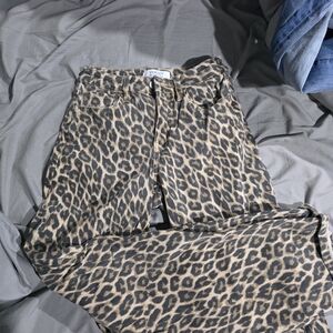 Flying Monkey Leopard Print Flare Jeans